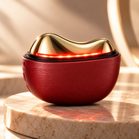 Electric Bianstone Scraping Massager