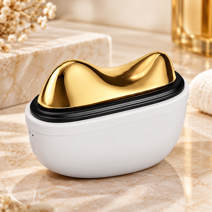 Electric Bianstone Scraping Massager